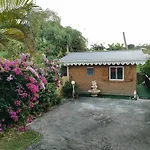 Au Paradis Des Oiseaux